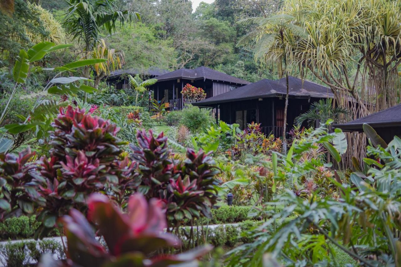 Hotel Lomas Del Volcan La Fortuna Екстер'єр фото